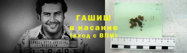 сатива Магадан