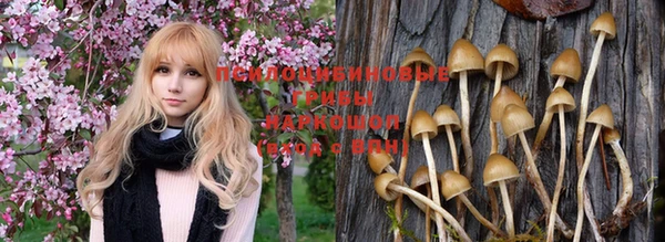 PSILOCYBIN Липки