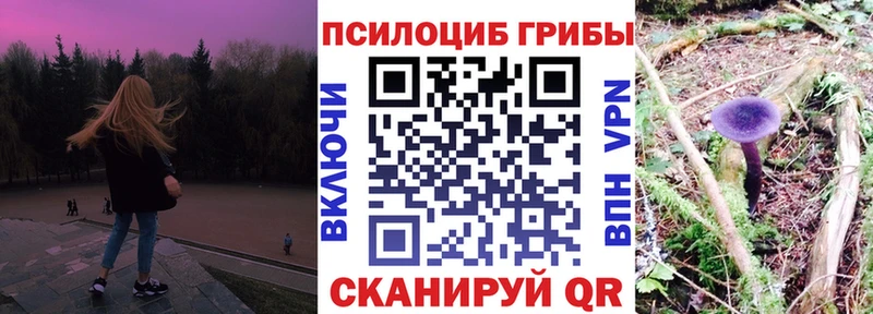 Галлюциногенные грибы MAGIC MUSHROOMS  закладки  Любань 